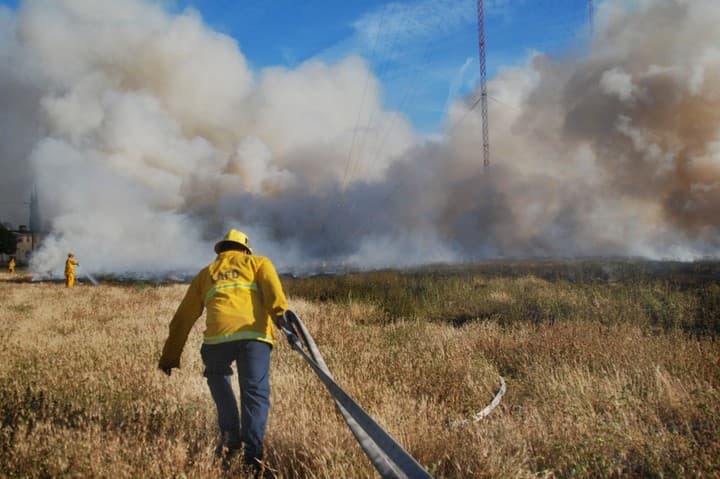 Cuatro cuadrillas fueron movilizadas para combatir un incendio de maleza en la zona del norte de Hollywood. Los bomberos terminaron sus labores en media hora.