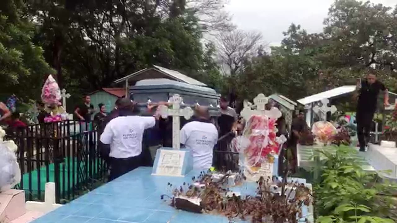 Luis falleció el 24 de mayo pasado en Alexandria, Virginia, al ser herido por un arma blanca en medio de una pelea masiva.