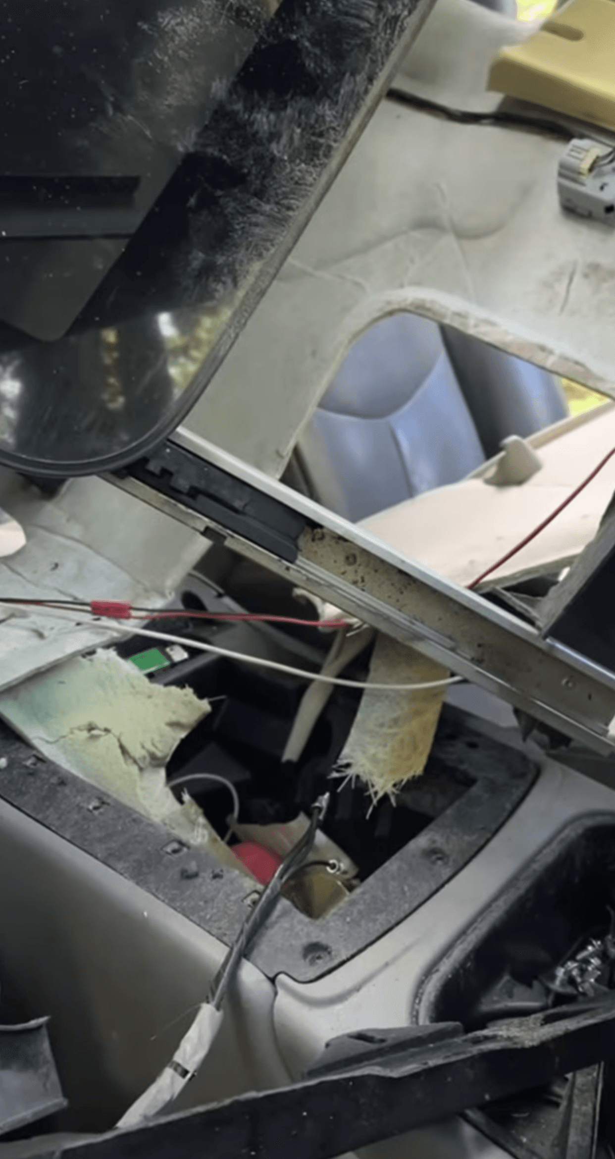 Oso destruye automóvil en Lake Tahoe