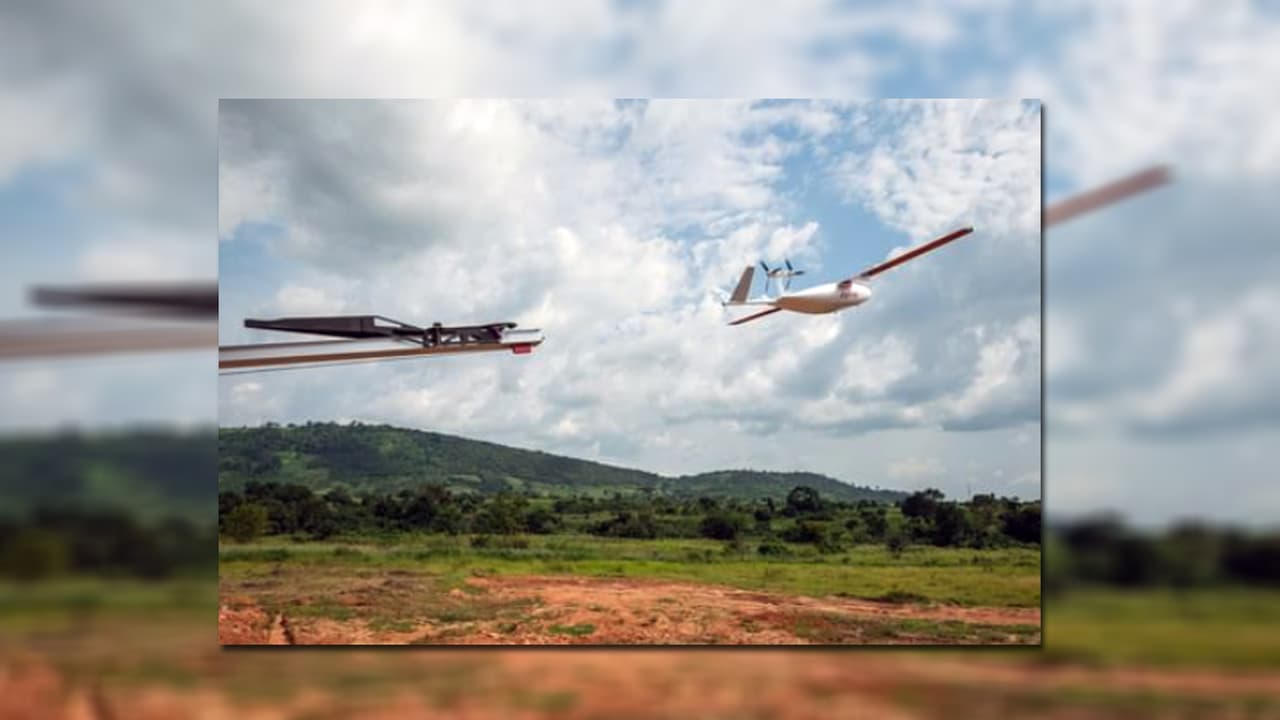 El servicio depende de varios factores como el tamaño de tu jardín y ubicación.