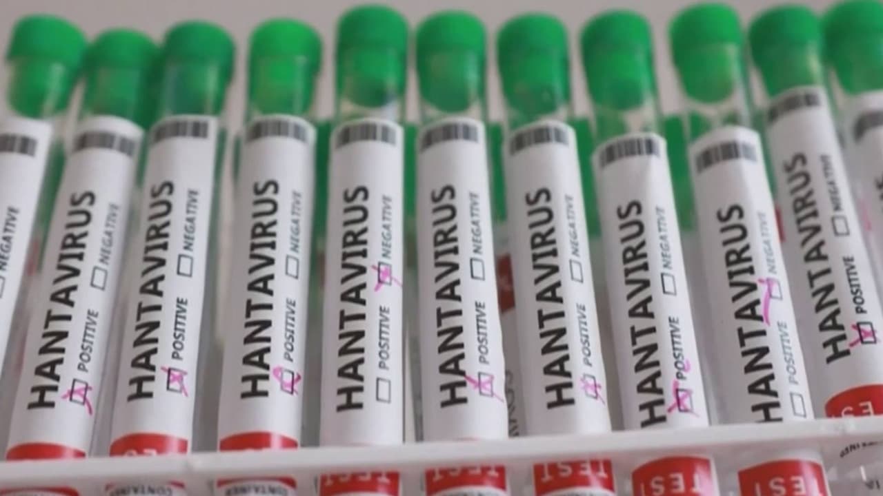 La OMS descarta amenaza de pandemia por hantavirus y vigila casos sospechosos en varios países