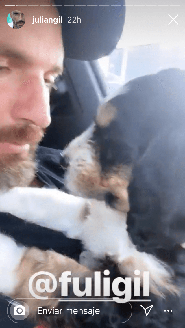 El entusiasmo por la llegada del can fue tal que el artista le abrió su propia
<b><a href="https://www.instagram.com/fuligil/" target="_blank"> cuenta de Instagram</a></b> e instó a sus seguidores a que lo siguieran. 
<br>