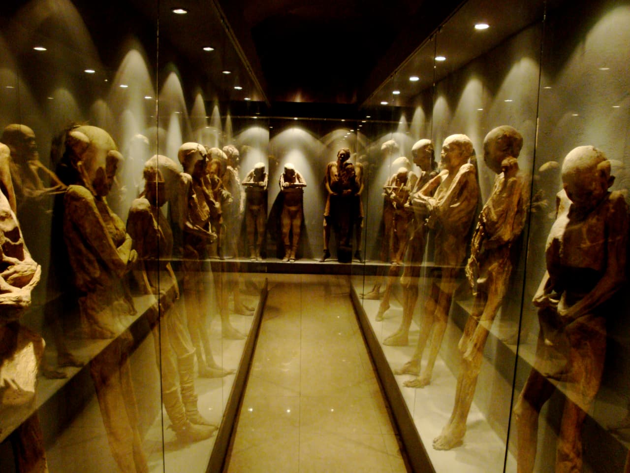 En México, si no pagas a tiempo tu tumba, te pueden exhumar. Eso empezaron a hacer en 1865 en el Panteón de Santa Paula, cuando encontraron la primera momia. Por cuenta de los nitratos y alumbre que están en el subsuelo del lugar, los cuerpos de los muertos morosos del cementerio se momificaron de manera natural y hoy se exhiben en el Museo de las Momias de Guanajuato. Se estima que son 111 momias de mujeres, hombres y niños exhumados entre 1865 y 1989.