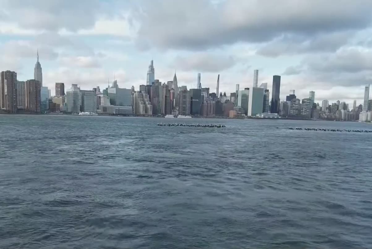 Proyecto para construir nueva terminal de ferry en Queens causa polémica por su ubicación