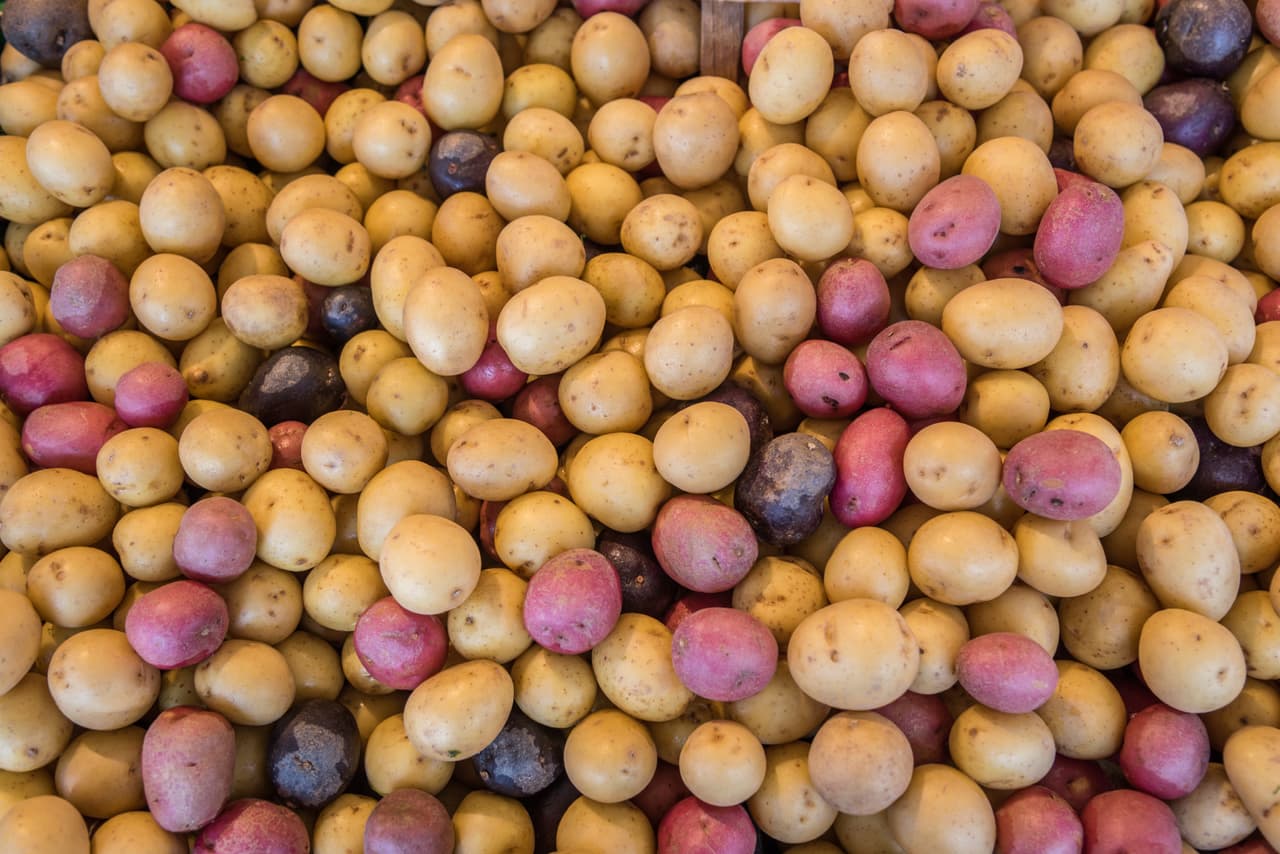 De acuerdo a ‘National Eating Trends Survey’, las papas son el platillo favorito de los americanos, por eso ellos nos comparten la guía nutritiva más completa de papas.