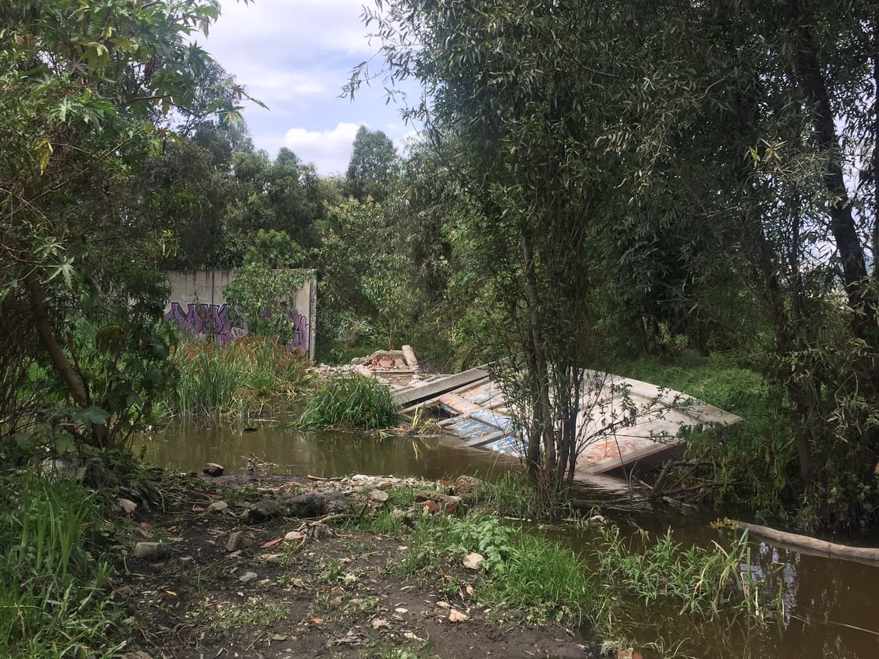 Algunas bardas que se derrumbaron cerca de la zona productiva siguen derrumbadas y bajo el agua.