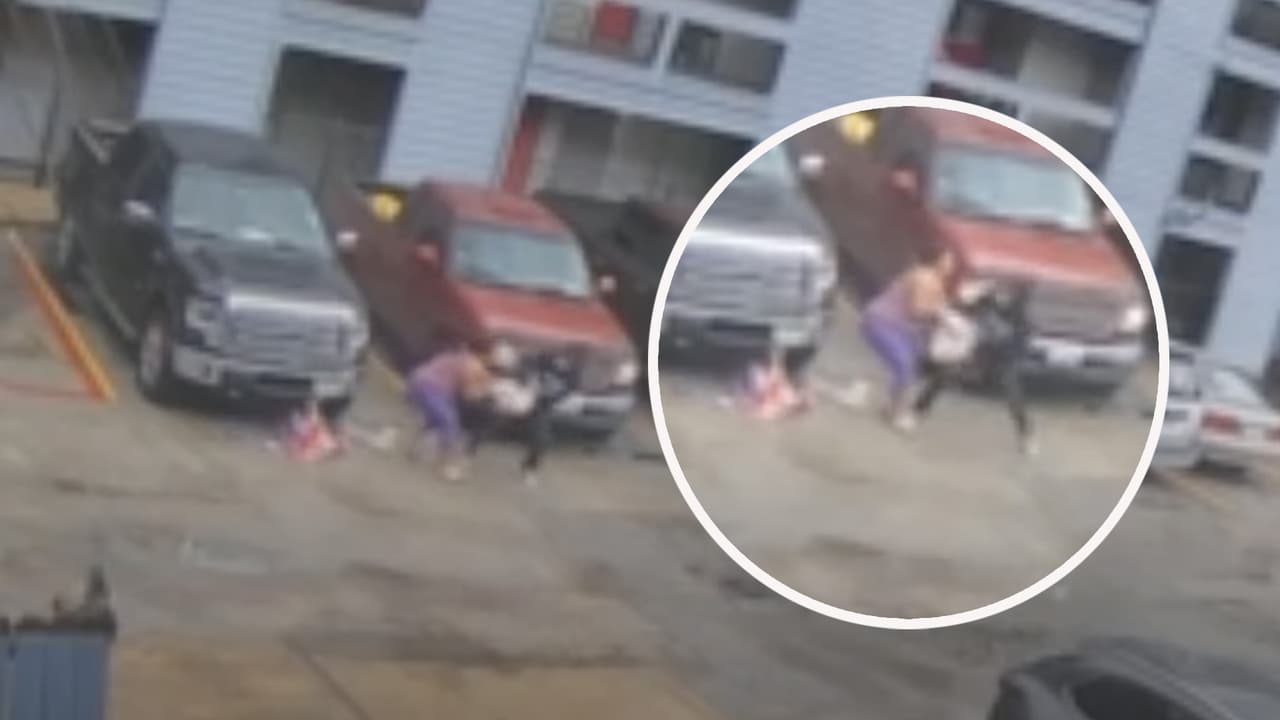 Buscan a una mujer por lanzar al pavimento a una niña e intentar robar a una madre en Houston