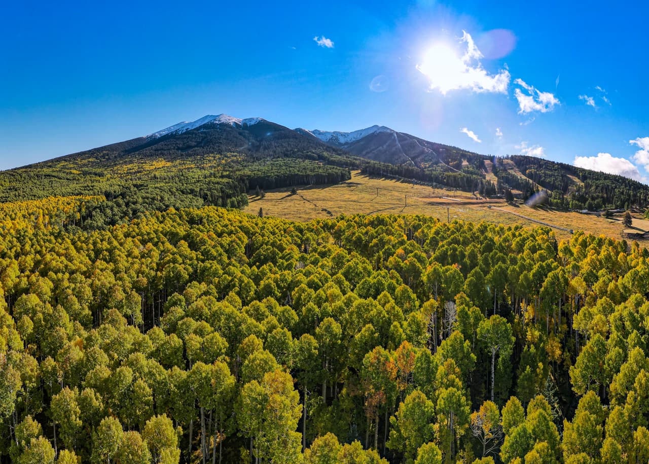 Si está pensando visitar este lugar, tenga en cuenta que todos los boletos deben comprarse en línea.
<a href="https://store.snowbowl.ski/Calendar.aspx?Department=TICKET%3ASUM&Category=SKYRIDE&Item=ADULTPM01" target="_blank">Haz clic aquí para más información. </a>
<br>