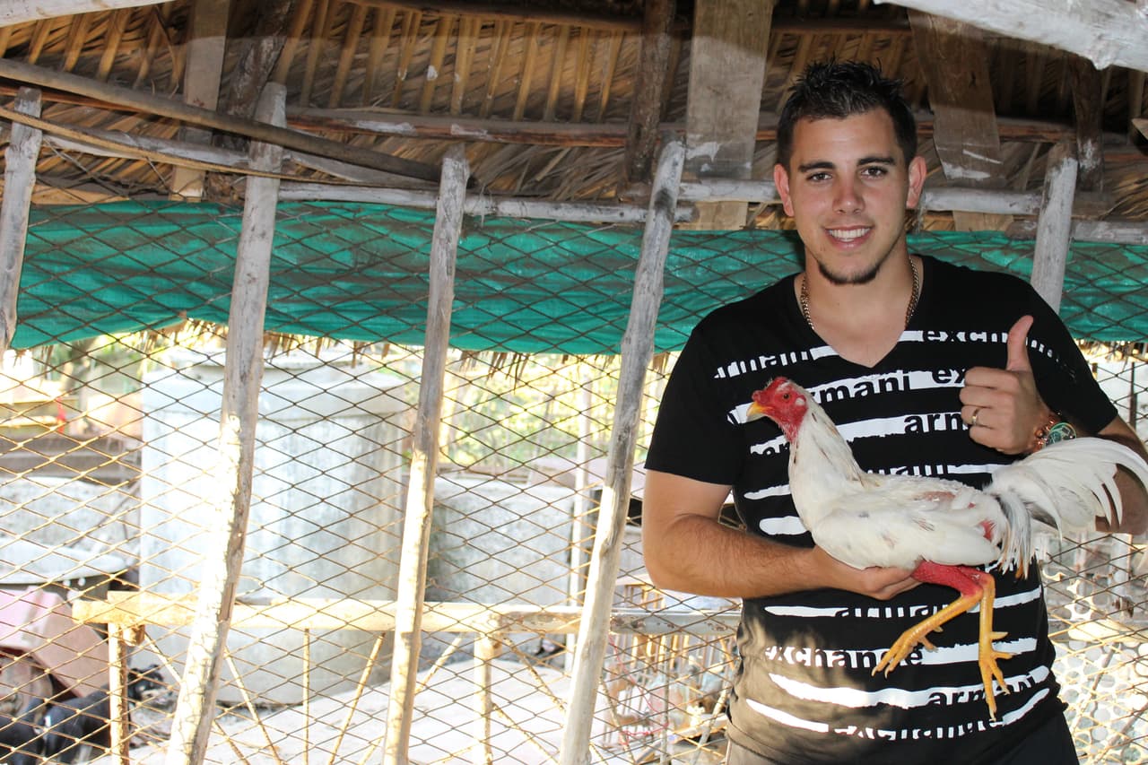 José Delfin had a passion for cock fighting which is legal in Cuba. Friends say he always won. Courtesy of the Fernández family/Univision.