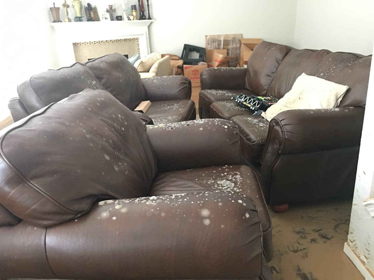 Repletos de moho, así encontró Cindy Ramírez los muebles de su casa luego de la inundación.