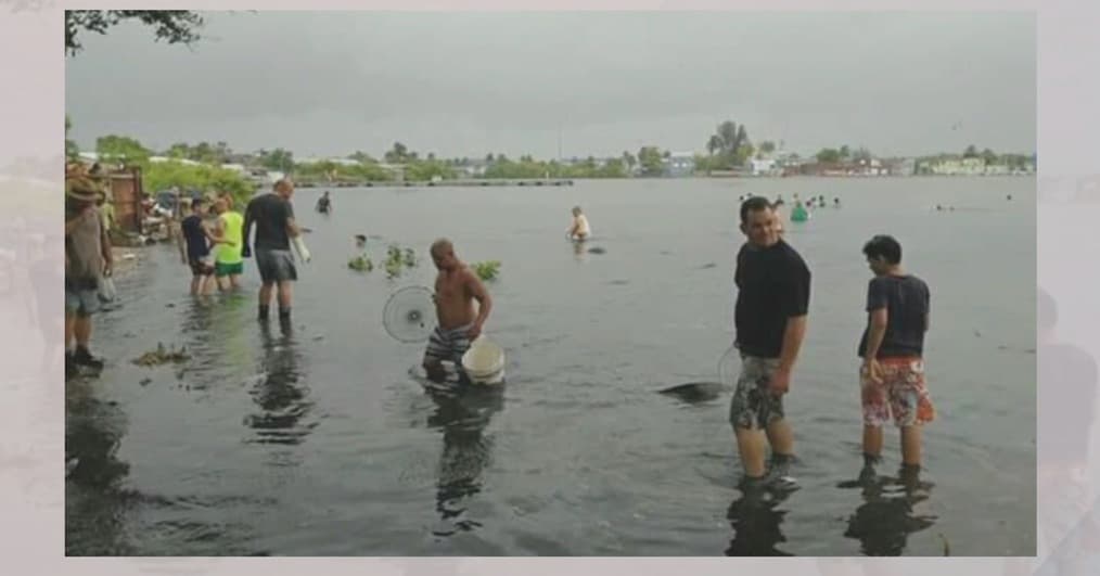 Los residentes del área utilizaron sus manos y cualquier objeto que tenían cerca, para poder pescar más.