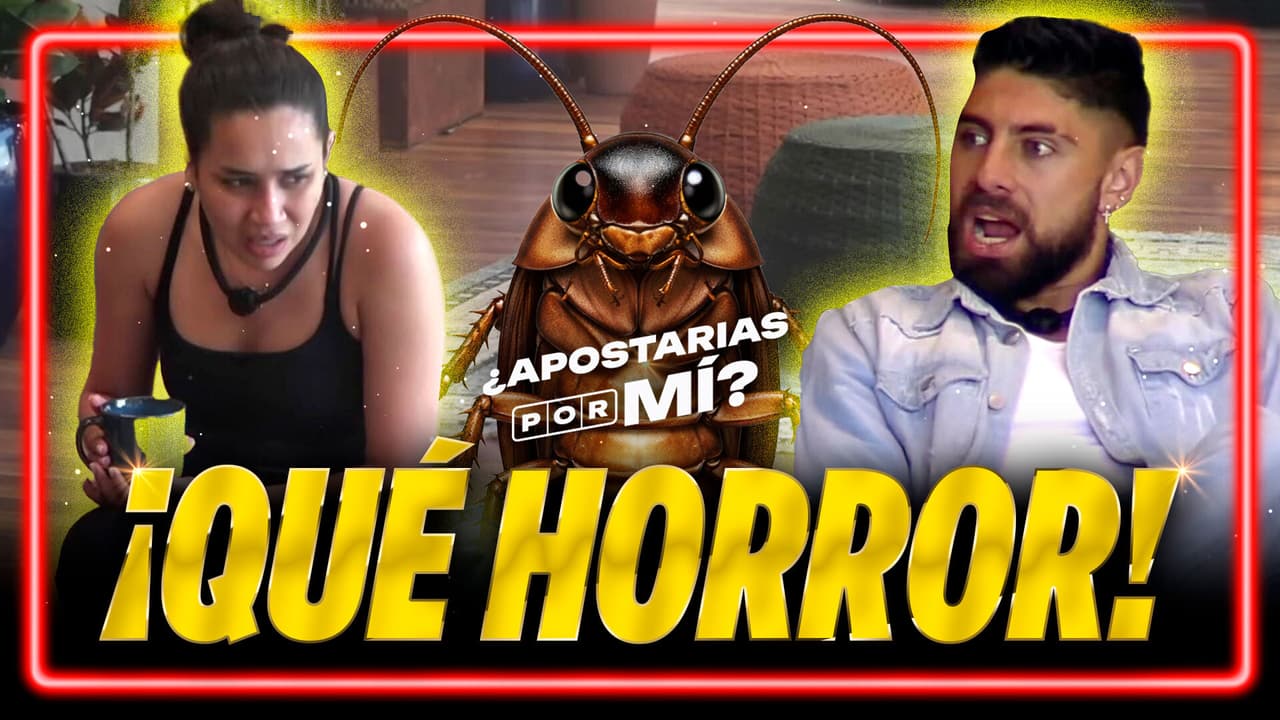 ¡CUCARACHA MUTANTE! Un ‘bicho’ en la alberca deja en asombro a las parejas de la Villa