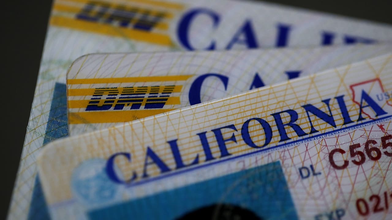 Nueva identificación para indocumentados en California: por qué será distinta a la licencia AB 60