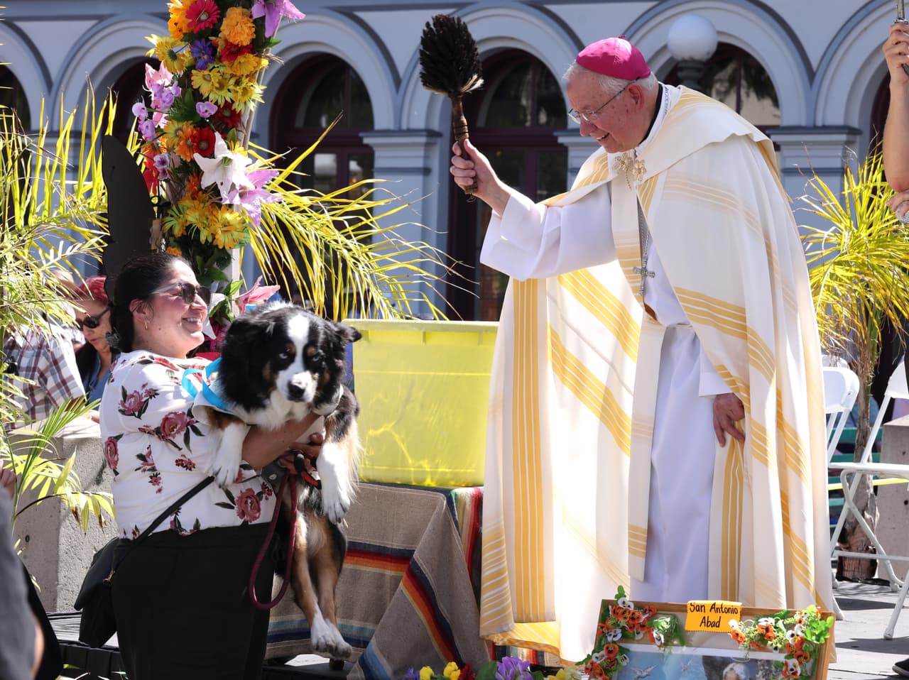 <b>Jeniffer Acosta</b> llevó a su perro Meias al 
<b><a href="https://www.univision.com/local/los-angeles-kmex/arzobispo-jose-gomez-se-pronuncia-sobre-el-clima-migratorio-en-los-angeles-video" target="_blank">arzobispo Gómez</a></b>, quien previamente pidió a Dios la bendición para "estas criaturas, para 
<b>que participen de la belleza de la creación</b> y 
<b>del misterio de la redención</b>".
<br>
<br>Al pedir 
<b>la bendición del Espíritu Santo</b> sobre el agua que arrojaría a los animales y sus dueños, el arzobispo de Los Ángeles rogó que
<b> "que sea una señal de tu poderosa protección y gracia sanadora"</b>.
<br>
<br>En su rezo, agregó, "que nos recuerde
<b> nuestro deber</b> de 
<b>cuidar a todos los seres vivos </b>con 
<b>compasión </b>y 
<b>respeto</b>".