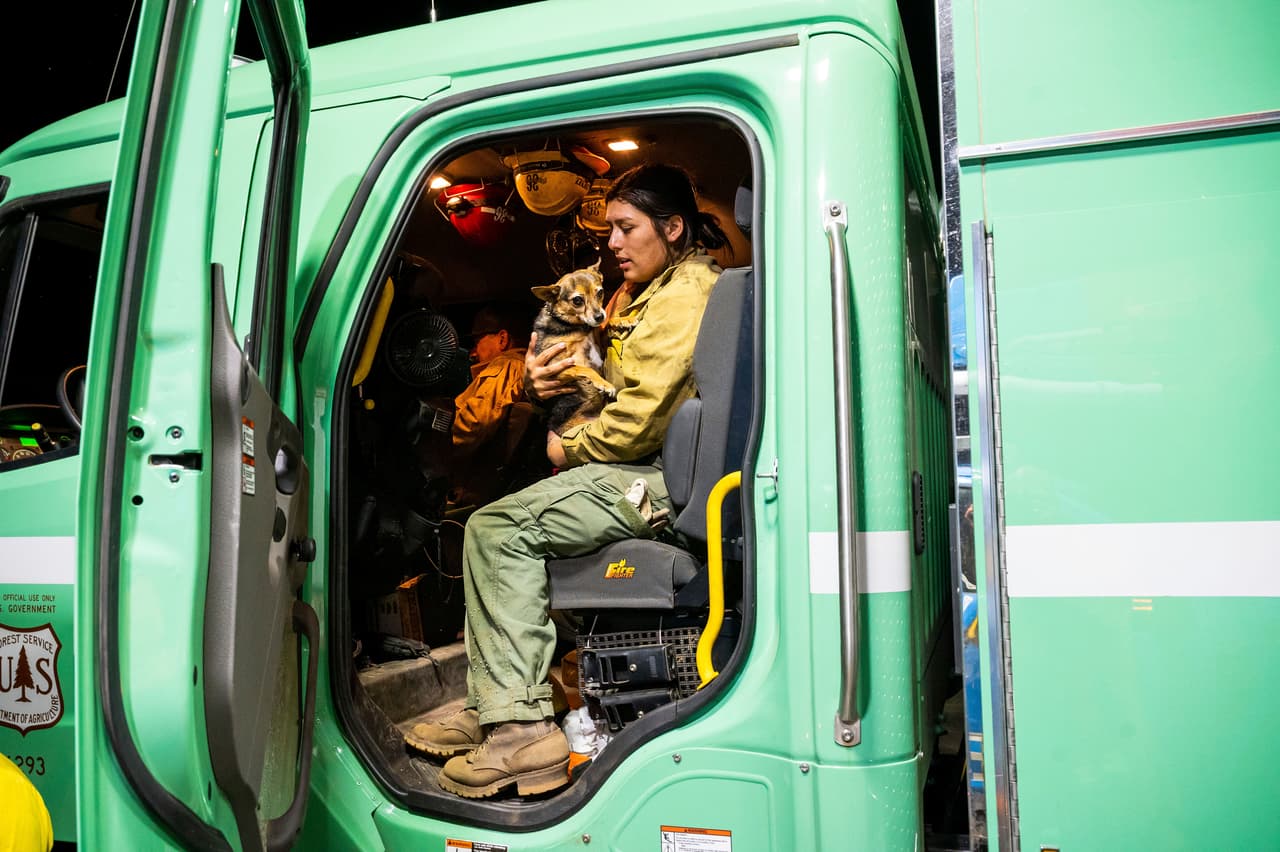 La bombera Joanna Jiménez rescató a un perro que halló errante en una zona de evacuación.