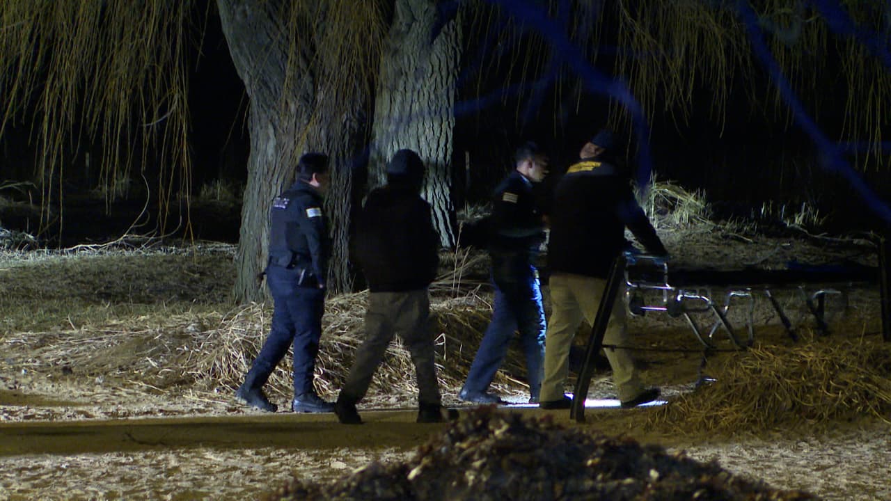 La agresión se registró en las inmediaciones de Loyola Beach, a orillas del lago Michigan, una zona frecuentada por estudiantes y residentes.
<br>