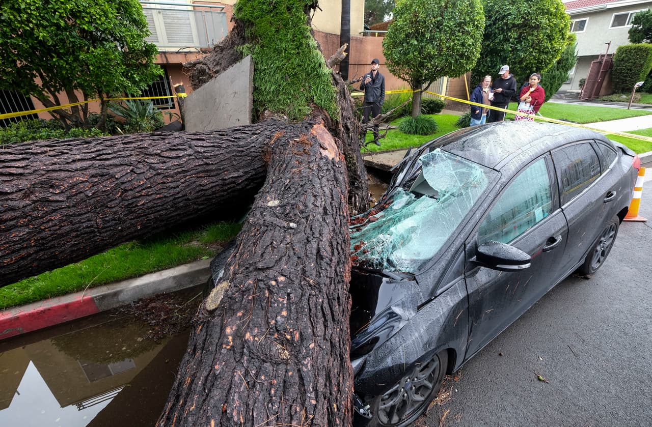 Un árbol colapsó sobre un vehículo en el vecindario angelino Sherman Oaks debido a los fuertes vientos que acompañaron al intenso aguacero registrado este viernes 17 de febrero.