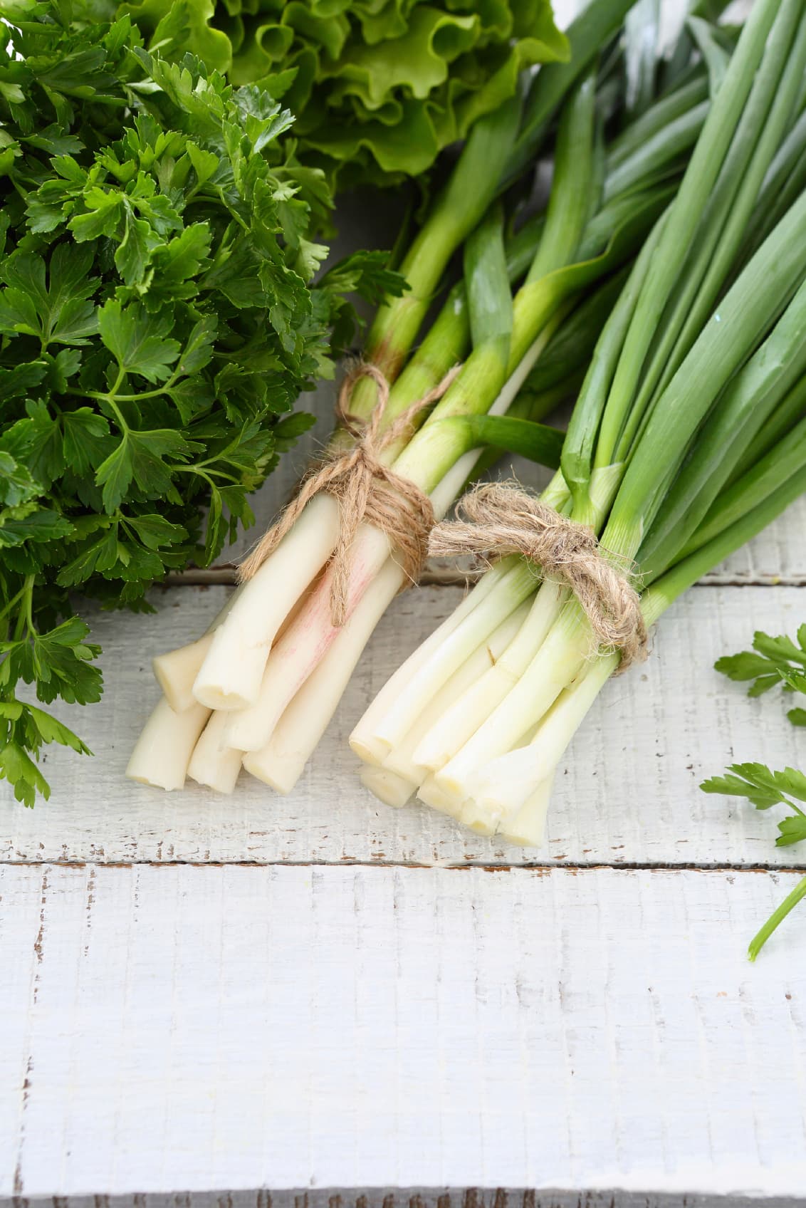 Puedes agregarles cilantro o cebolleta picada, y pimienta recién molida encima si quieres y, ¡listo!