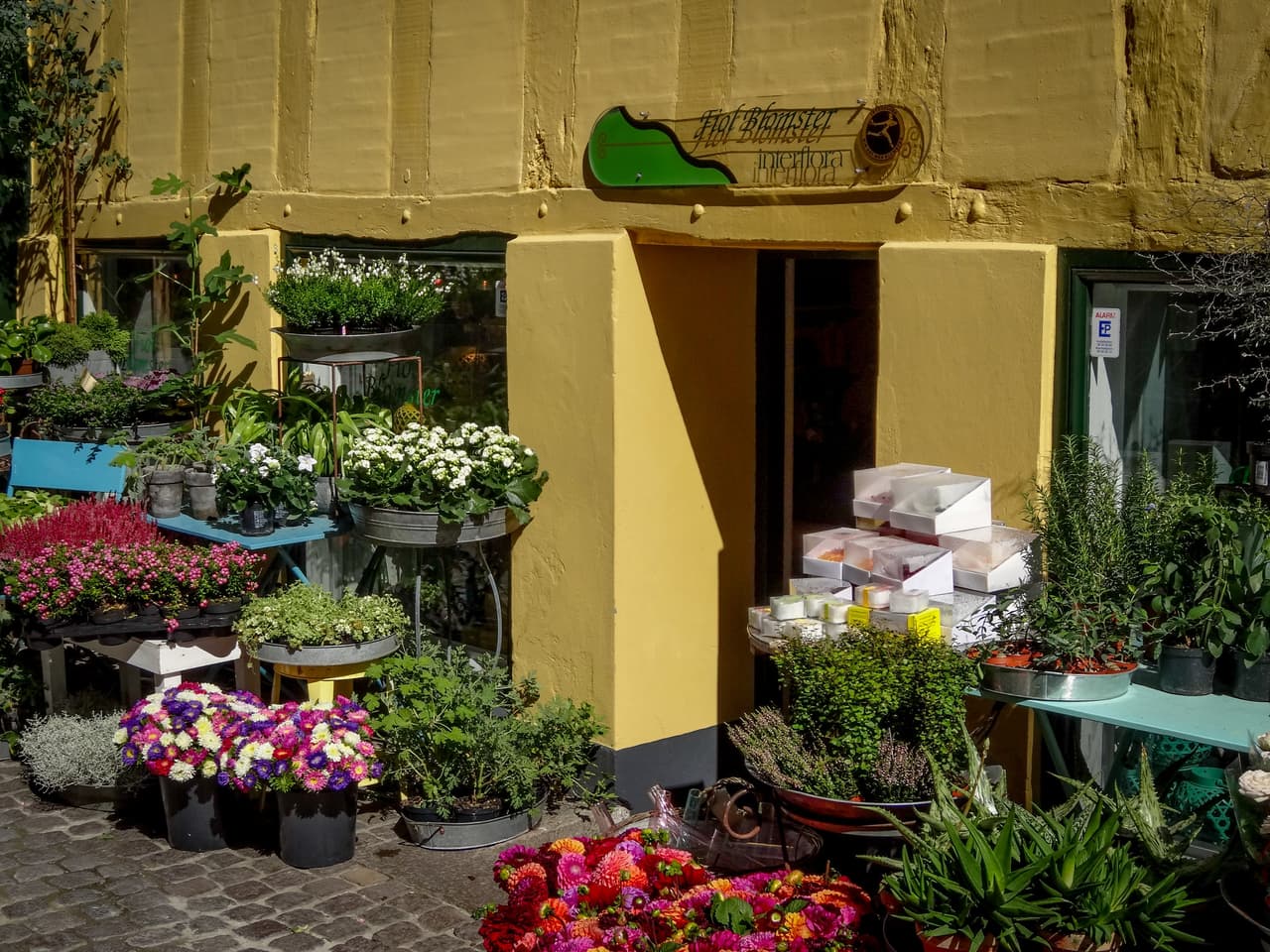 <h3 class="cms-H3-H3">1. Floristas</h3>
<br>
<br>⚒️ Incremento en el salario por hora en el último año: +25.3%
<br>
<br>⚒️ Salario por hora promedio, agosto de 2022: $19.94
<br>
<br>⚒️ Salario por hora promedio, agosto de 2021: $15.92
<br>