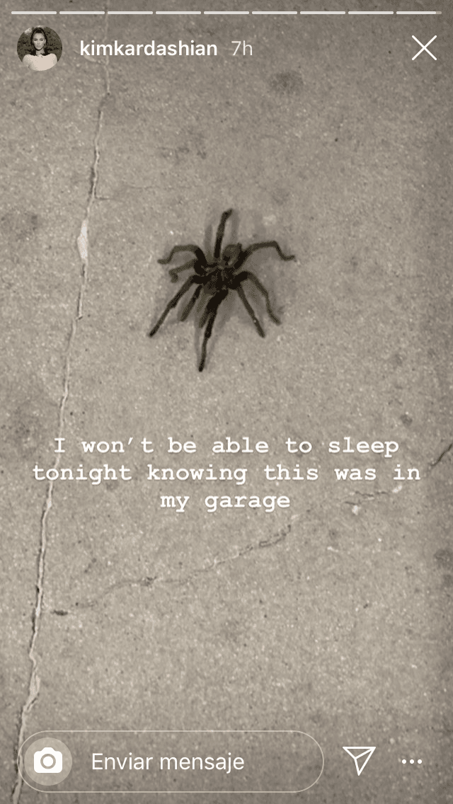 "
<b>No podré dormir esta noche </b>sabiendo que esto estaba en mi garaje", fue el mensaje que escribió sobre una de las fotos de la araña.
