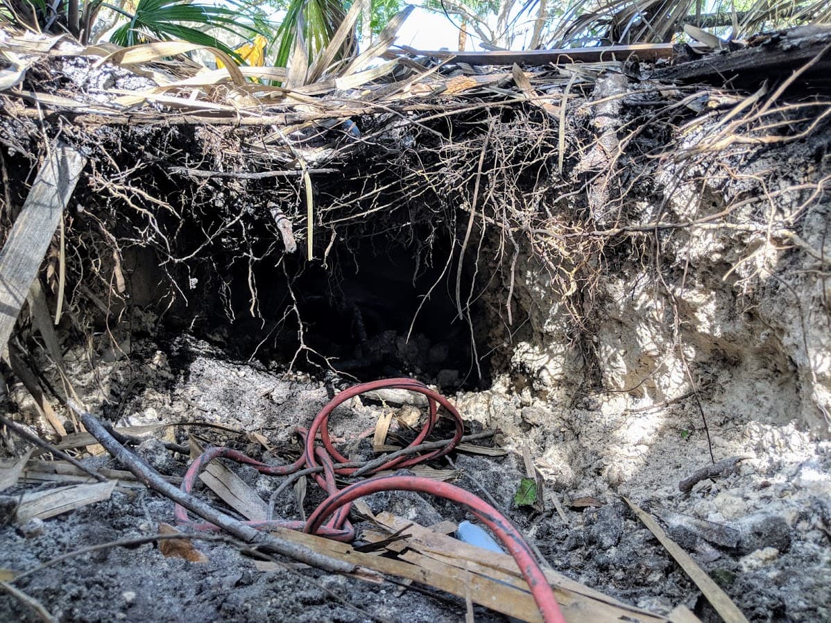 La excavación pudo ser inspeccionada por un perro de la unidad canina de la oficina del alguacil del condado Palm Beach.
