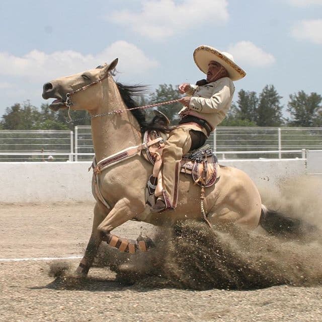 "Deseo a todo el mundo
<b><a href="https://www.univision.com/shows/despierta-america/familia-de-vicente-fernandez-esta-en-cadena-de-oracion-y-consternados-por-las-falsas-noticias-sobre-el-cantante-video" target="_blank">que nadie pase este dolor</a></b> y este infierno y que vayan a hacerse la prueba de sangre, porque un minuto hace la diferencia. Es ir a checarse al lugar más cercano y ahí les dicen si comienzan o si está avanzado".
<br>