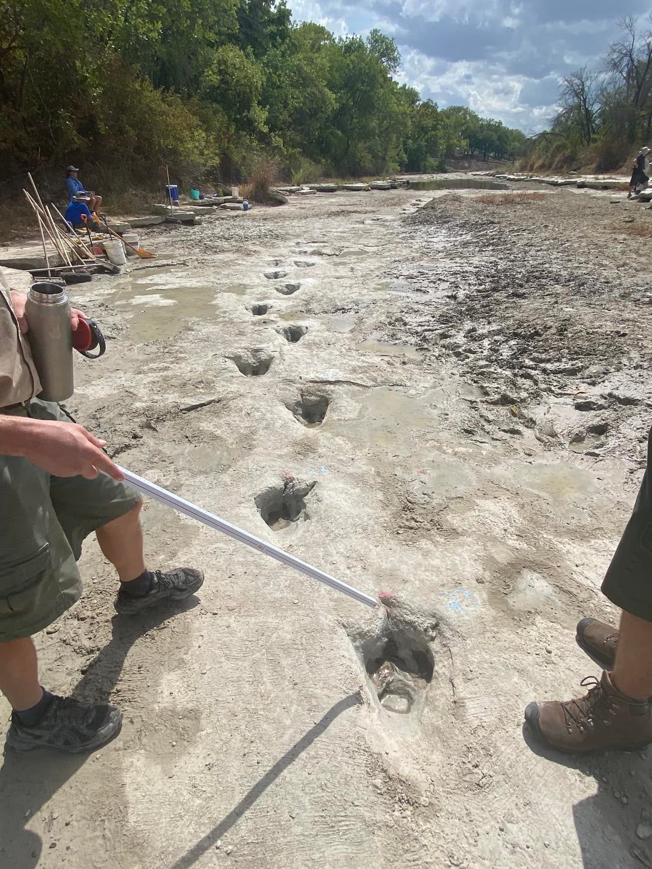 Debido a la atención de medios y usuarios que han recibido últimamente, el vocero dijo que anticipan una alta presencia en el número de visitantes al parque este fin de semana.