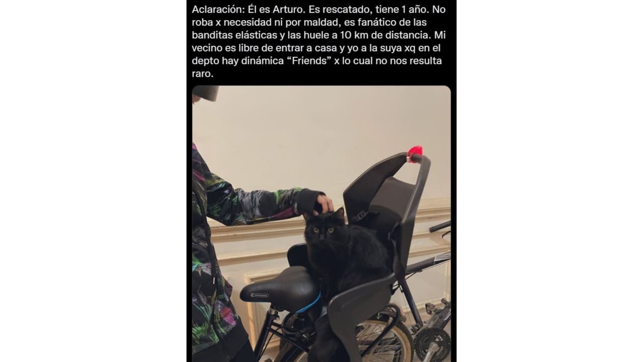 También lo han llamado el "michi ladrón"