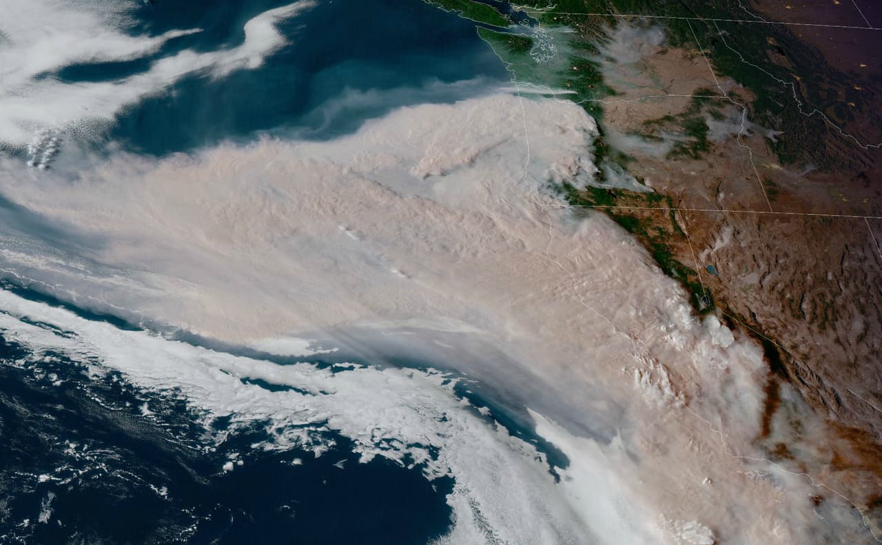 Los Centros para el Control y Prevención de Enfermedades (CDC, por sus siglas en inglés) señalan que el humo de los incendios forestales contiene una mezcla de gases como monóxido de carbono y partículas finas que provienen de árboles y plantas calcinadas, por lo que puede ser muy dañino para las personas que lo respiran.