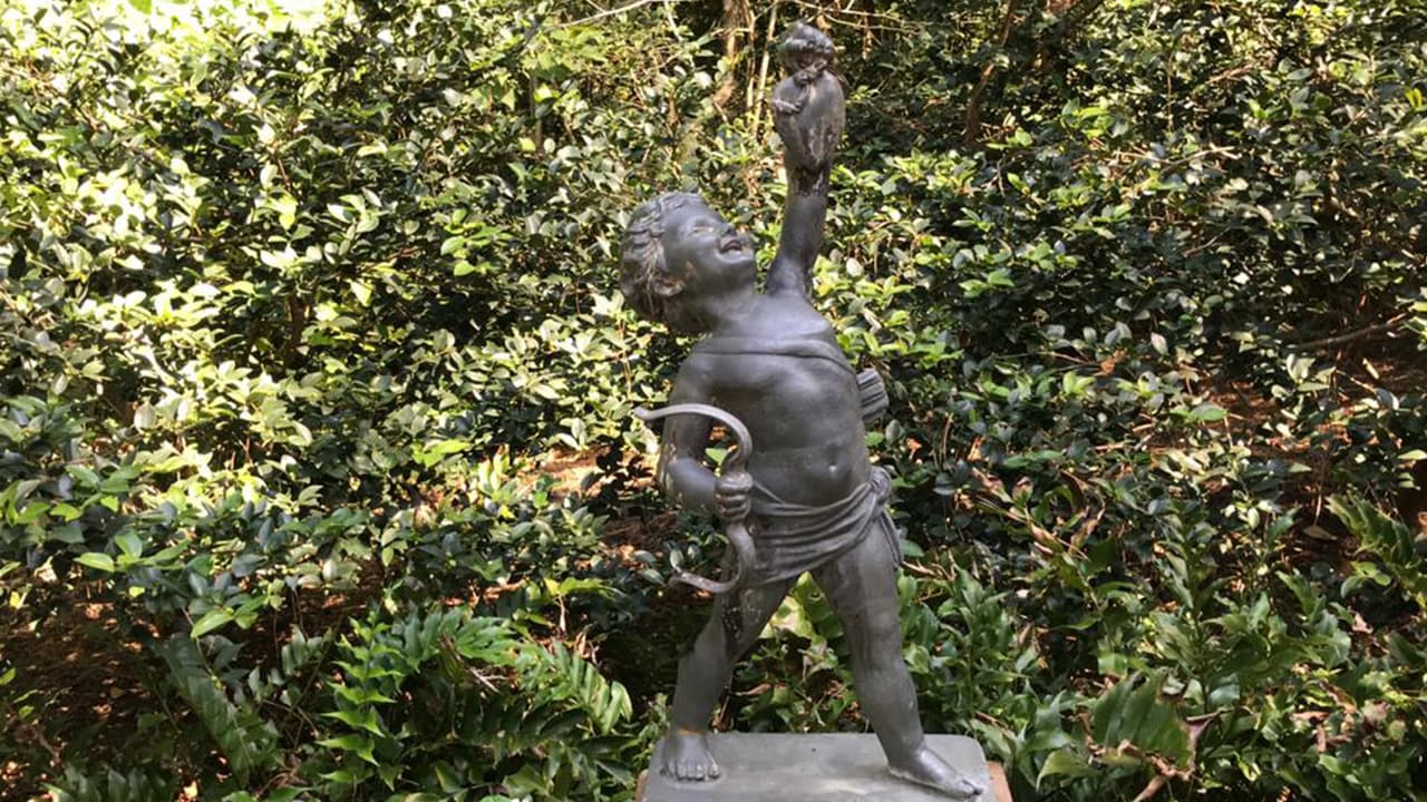 Para más información sobre recorridos por los jardines llame al 713-639-7750.
<br>