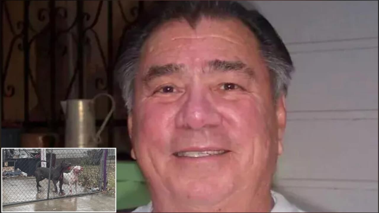 Tras sentencia a dueños de perros de ataque mortal, familia ahora va contra la ciudad de San Antonio