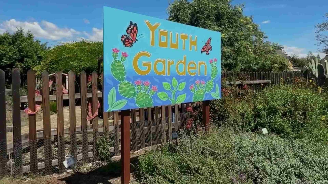 “Ayudamos a granjeros, mujeres”: Veggielution, recursos gratis para la comunidad de San José