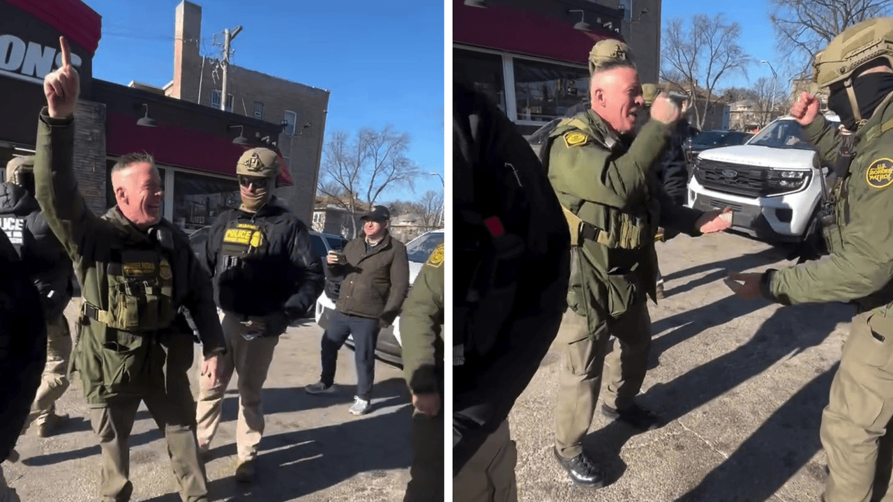 Bovino sorprende jugando piedra, papel o tijera tras causar alarma en comunidad de Chicago