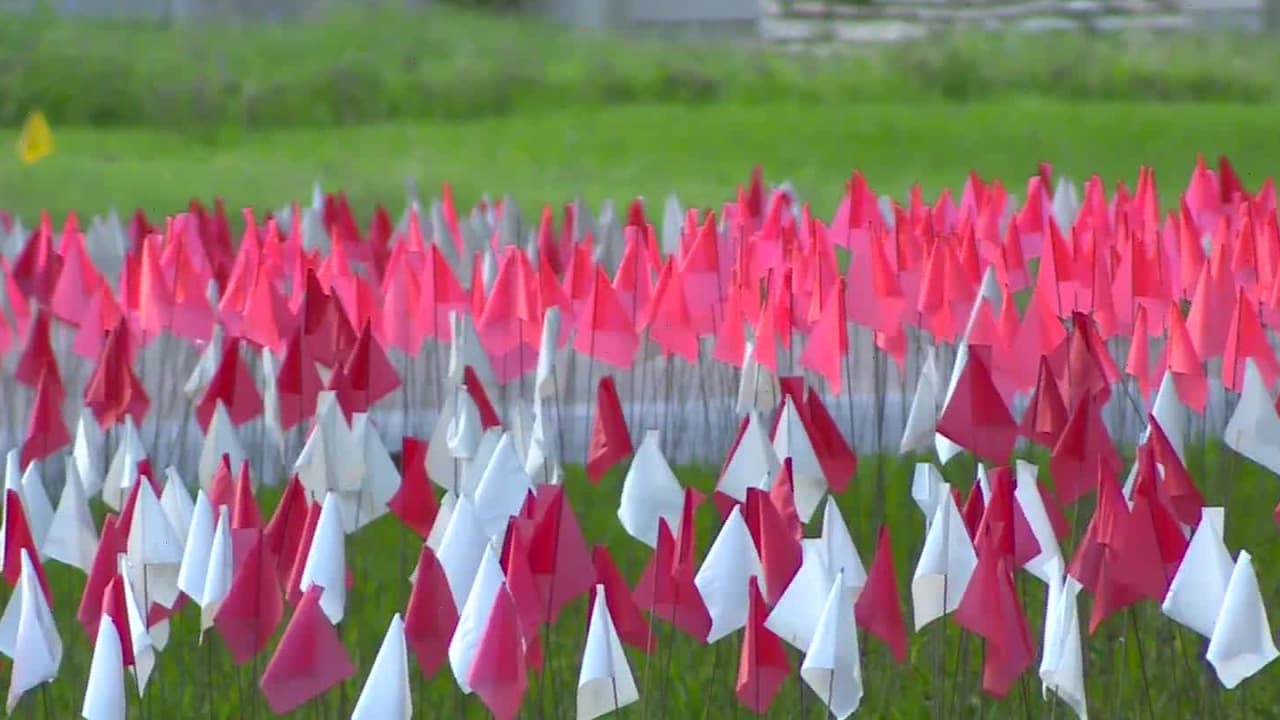 “Me estoy quedando sin espacio”: Hombre pone banderas en su patio en honor a cada víctima de coronavirus en Texas 