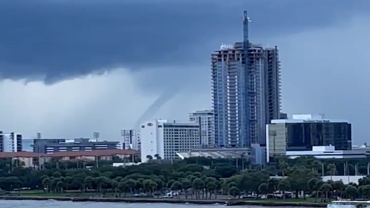 Captan tromba marina en St. Pete y Pinellas    