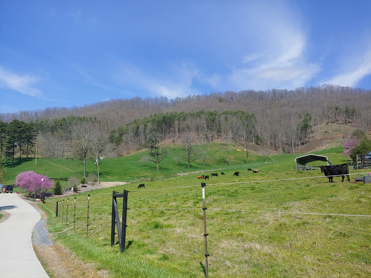 <b><a href="https://www.walnuthollowranch.com/">Número 4: Walnut Hollow Ranch (Hayesville)</a></b>. La granja se encuentra ubicada en las montañas del oeste del estado y se especializa en la crianza de ganado para obtener carne de alta calidad, según sus representantes. A sus visitantes ofrece tours, estadías, terreno para vehículos recreativos (RV´s), una Farm Store, un área de picnic y un estanque de pesca para capturar y liberar peces, entre otras atracciones.