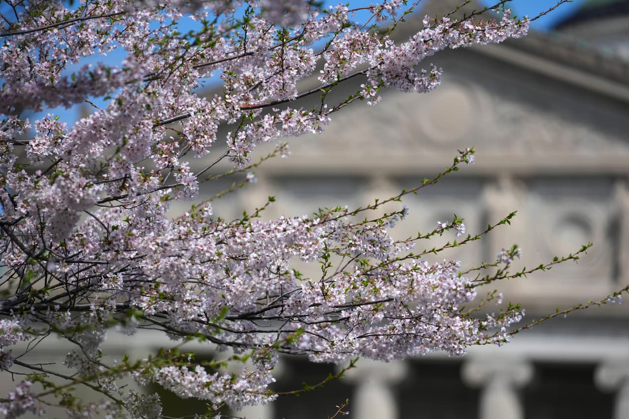 <h2 class="cms-H2-H2"><b>Cuatro datos curiosos para entender el Día de la Tierra.</b></h2>
<br>
<br>1.- El Día de la Tierra se celebra cada 22 de abril; este año 
<b>cumple 41</b> años desde su origen en Estados Unidos.