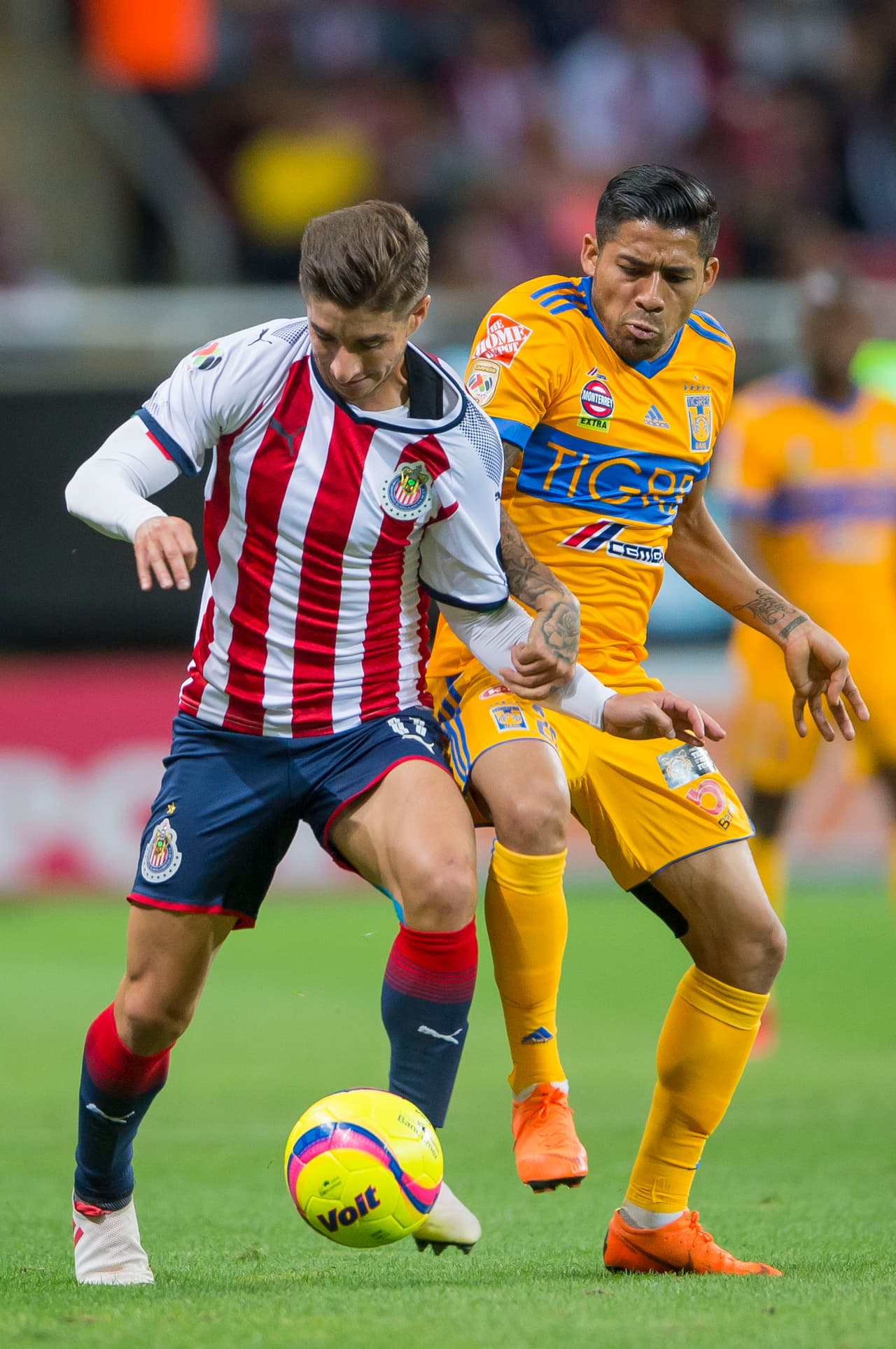 Ha sido un torneo para el olvido de Chivas. Además de sólo sumar 12 puntos, cuentan con 12 goles a favor y 16 en contra.