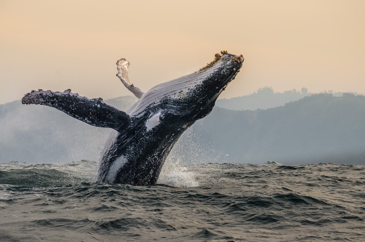 Otro francés, Gregory Lecoeur, obtuvo el segundo lugar en la categoría Paisajes sobre la superficie del océano.