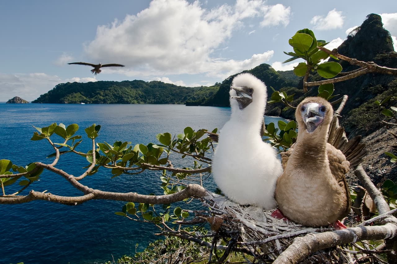 El colombiano Edwar Herreño obtuvo el tercer lugar de la categoría Paisajes sobre la superficie del océano.