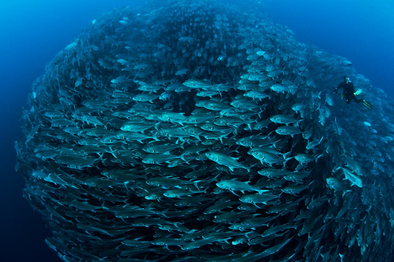 El tercer lugar de la categoría "Haciendo la diferencia: Los seres humanos en acción" fue para Edwar Herreño de Colombia.