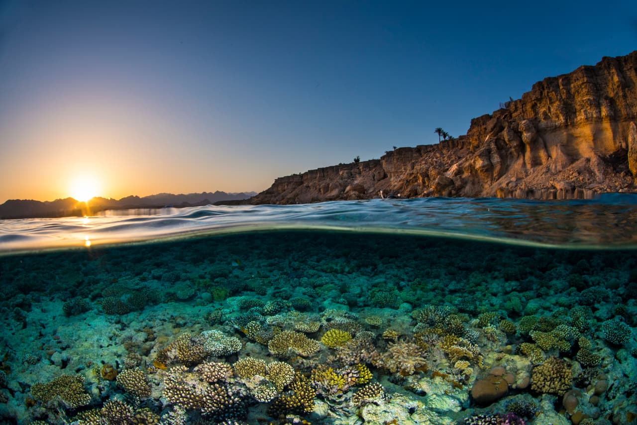 El sueco Anders Nyberg obtuvo el segundo lugar en la categoría de Paisajes submarinos con esta imagen.