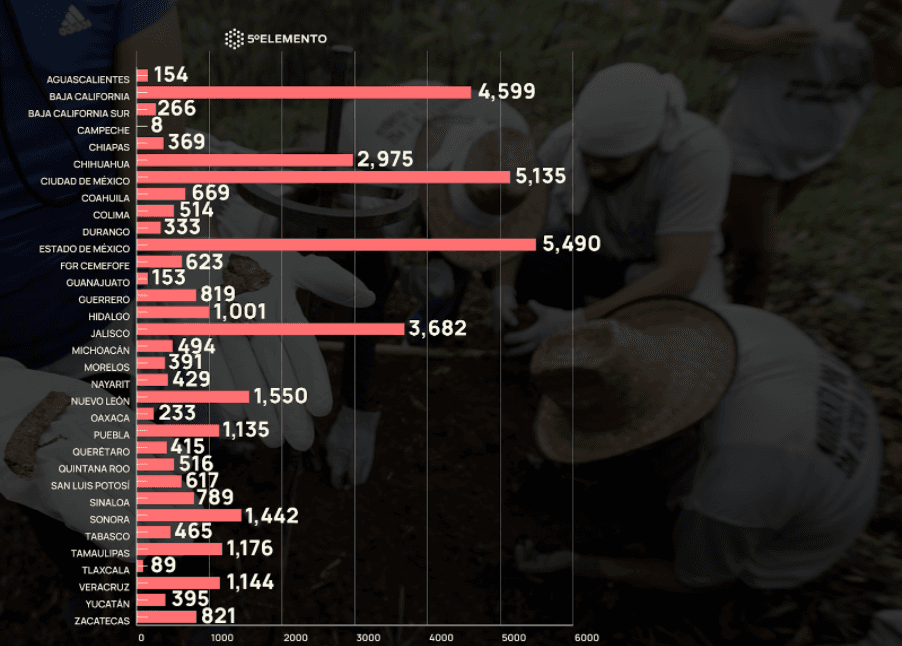Gráfico 2. Cuerpos no identificados por estado.