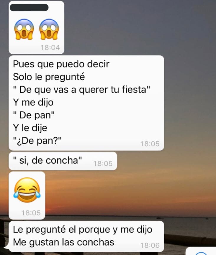 La familia le ofreció a Ricardo las opciones de los personajes de caricaturas favoritos o de superhéroes para su festejo, sin embargo, insistía sobre el pan dulce: "Porque me gustan", fue lo que contestó cuando le preguntaron sobre el tema de su fiesta.