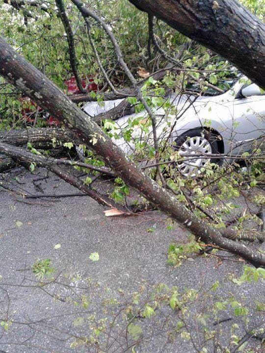 Destrozos causados por el mal tiempo en Houston.