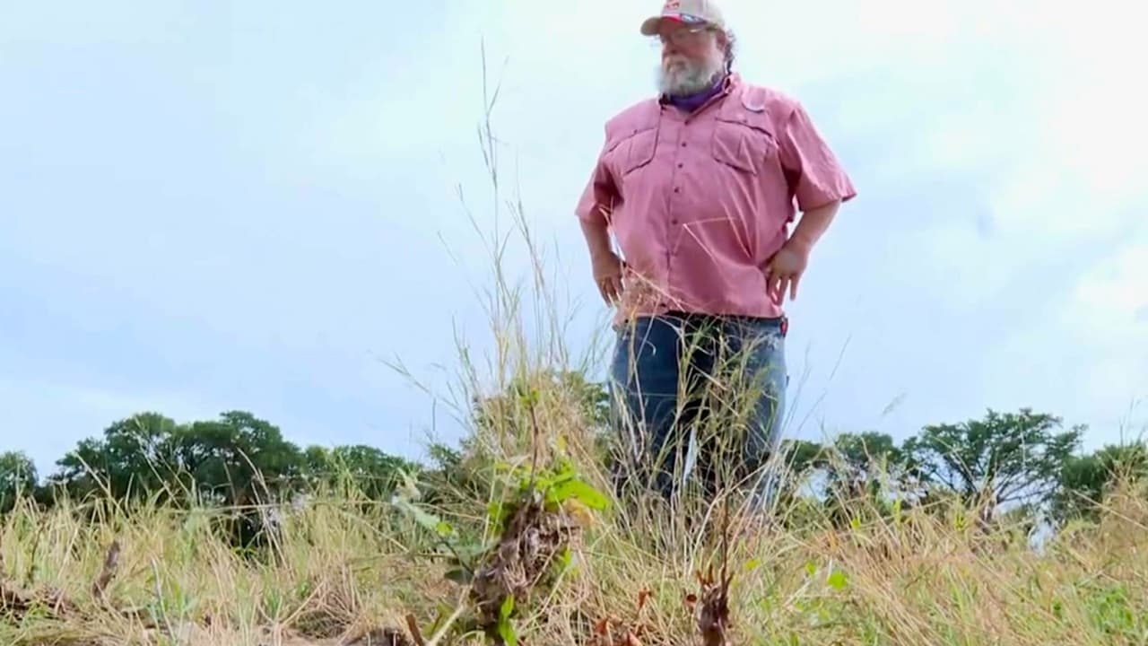 El hombre dio un recorrido por la zona y mostró a una periodista de CNN las zonas en las que habían hallado los cuerpos.