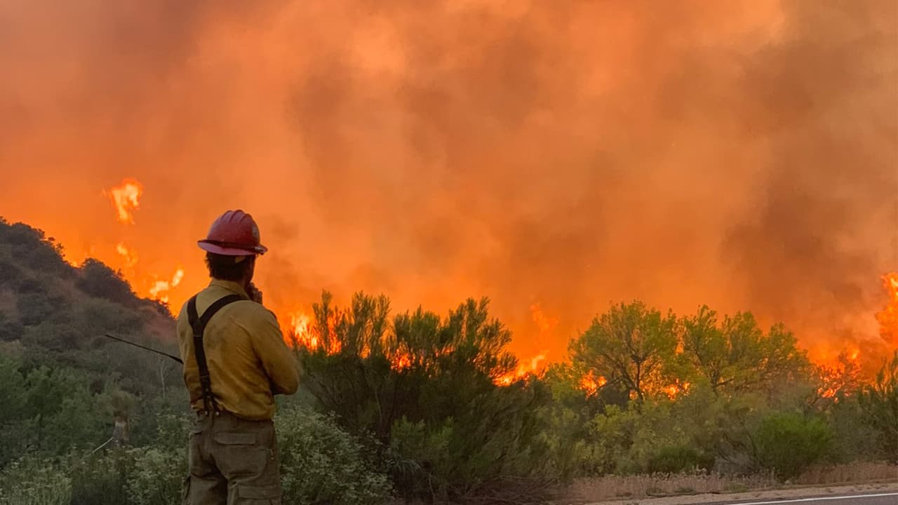 Incendio forestal Wildcat Fire consume más de 14 mil hectáreas en el Bosque Nacional Tonto