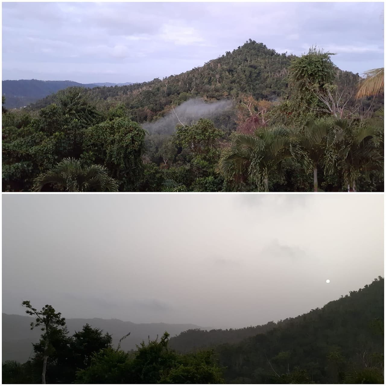 Histórico evento del polvo del Sahara llegó este lunes a Puerto Rico, los paisajes se han visto afectados y las condiciones del aire se encuentran insalubres.