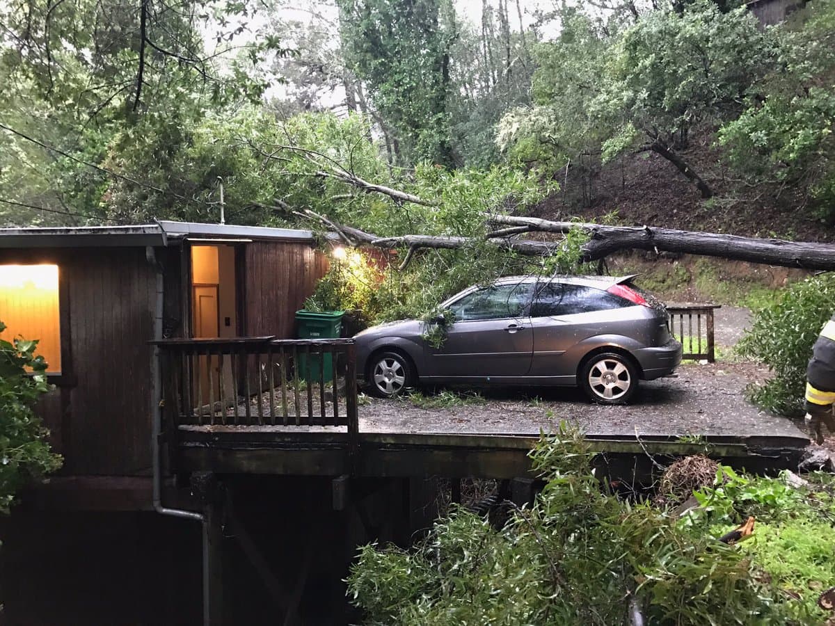 Un árbol caído sobre una casa en Homestead Valley (Mill Valley) debido al viento a la lluvia.