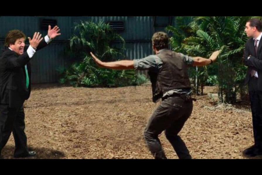 Memes agresión del 'Piojo' a periodista